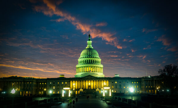 The Filibuster, Senate Power, and the Second Amendment, iStock-2246891240
