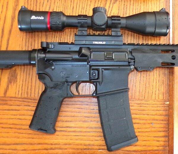 Ruger-Harrier-review-full-mag