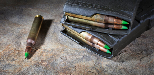 Armed Virginia Gun Owners Rally at Capitol as Magpul Distributes PMAGs