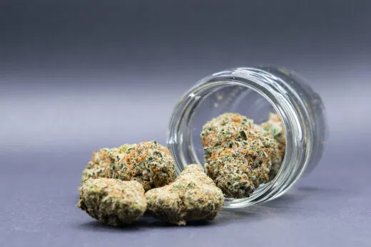 Marijuana buds spilling from a glass jar, illustrating the federal gun ban on marijuana users challenged in United States v. Hemani