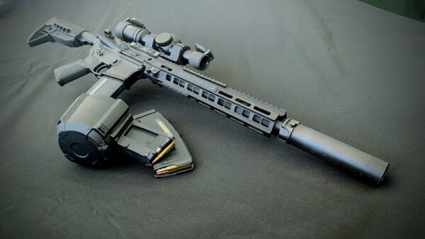 AR-15 Rifle with standard-capacity magazines.