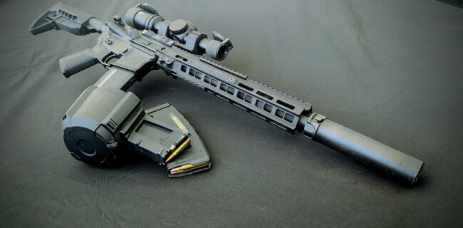 AR-15 Rifle with standard-capacity magazines.
