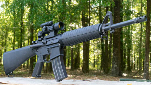 The Supreme Court&acirc;s decision in United States v. Hemani makes one thing harder for gun-control advocates to avoid: under Bruen, the Second Amendment is not a second-class right. IMG Jim Grant