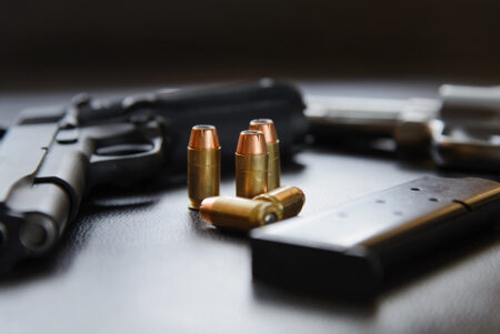 Florida mother protects children after alleged Palm Coast home intruder is shot in self-defense