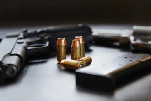 Florida mother protects children after alleged Palm Coast home intruder is shot in self-defense