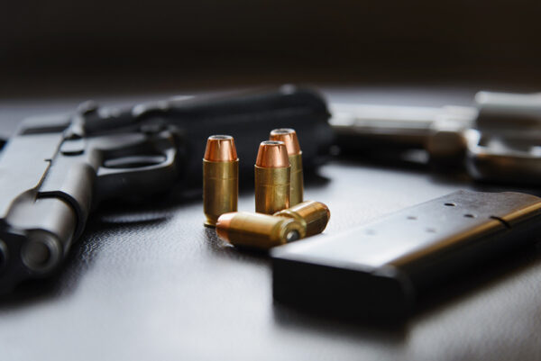 Florida mother protects children after alleged Palm Coast home intruder is shot in self-defense