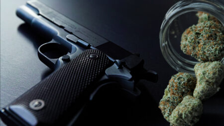 Handgun and cannabis representing the Hemani marijuana gun ruling.